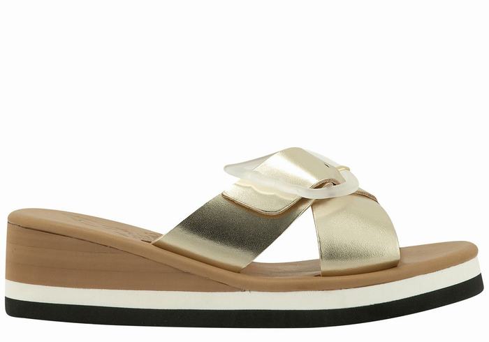 Sandale Compensée Ancient Greek Sandals Thais Rainbow Military Femme | ULI-0799556